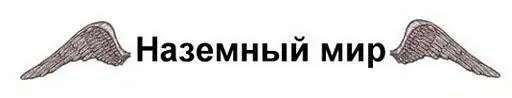 Представьте себе шкаф Да большой шкаф с множеством ящичков в котором - фото 2