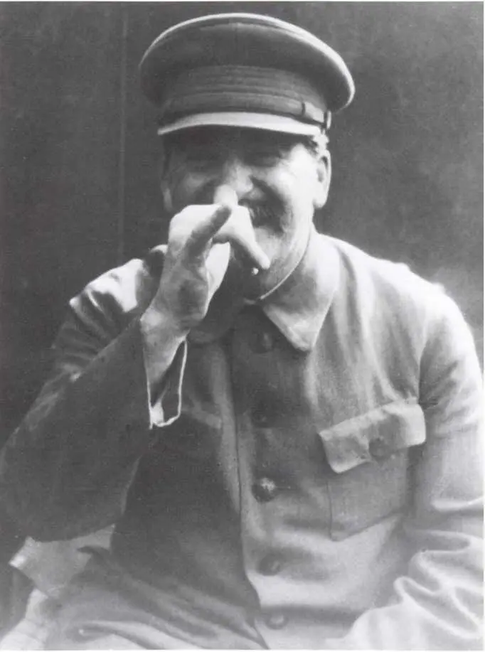 Одна из немногих неформальных фотографий Сталина Точная дата и место съемки - фото 39