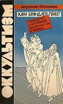 Карл Брандлер-Прахт - Оккультизм. Руководство к воспитанию оккультных сил в человеке