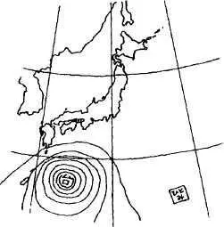 ЯПОНСКИЕ ТАРАКАНЫ Японские тараканы совсем не такие как их русские - фото 21