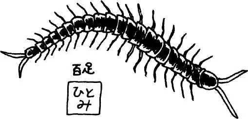 Целый год мне довелось жить в необычайной близости к японской природе хотя это - фото 25