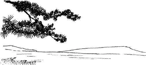 Большинство популярных описаний Страны восходящего солнца изобилует такими - фото 26