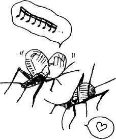 Мы сошли на станции Мацуэки порусски Сосново линии Арасияма в Киото Это - фото 32