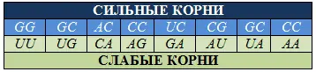 Идея о разбиении корней кодонов на два октета сильные и слабые была - фото 26