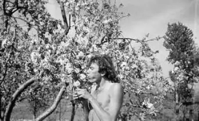 Весна в Купчино 1979 г Серёжа и Юра Домашняя запись 1972 г Юрий и - фото 29