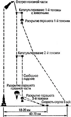 Схема полета геофизической ракеты с животными на борту Данные проведенного - фото 114