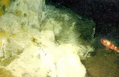 Берингово море Пламя на дне Вторая наша гидротерма была совершенно не похожа - фото 36