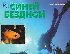 В последний раз мы погружаемся у скалистого мыса Марфа в Южном проливе Комино - фото 10