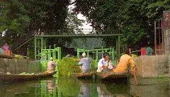 Команда шихары Утром завтрак покашмирски свежий кашмирский сыр особые - фото 17
