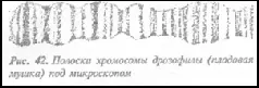 Нечто такое как раз и представлено на рисунке майя В таком случае единичные - фото 119