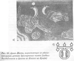 Здесь как бы в разрезе изображены птичьи яйца с толстой скорлупой а внутри - фото 147