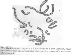 У многих народов мира склеп есть место где человек совершает переход в мир - фото 91