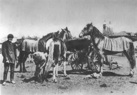 На Конной площади С открытки 1903 г Так одевались мужчины в Петербурге - фото 57