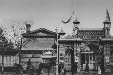 Зоологический сад С открытки 1900х гг Цирк Чинизелли С открытки 1900х - фото 67