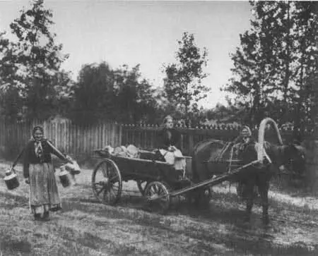 Молочницы Фотография начала 1900х гг Станция Лигово Балтийской железной - фото 79
