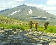 В кассе 13 Ярославского вокзала на 13 число были куплены билеты на поезд - фото 34
