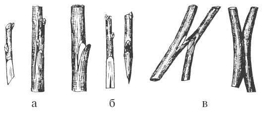 Рис 8 Прививки а в боковой зарез б в боковой защеп в сближением На - фото 8