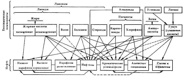 Рис 32 Источники образования отдельных компонентов нефти Рис 33 Схема - фото 50
