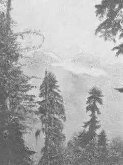 Рис Снеговой хребет Спускаться делается довольно трудно опять начались камни - фото 29