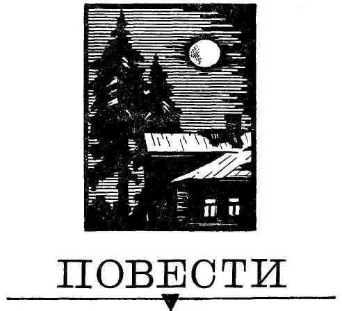 ПОД ВЕЧНЫМИ ЗВЕЗДАМИ ОЗЯБШИЙ МАЛЬЧИК То ли изза холодов то ли потому что - фото 4