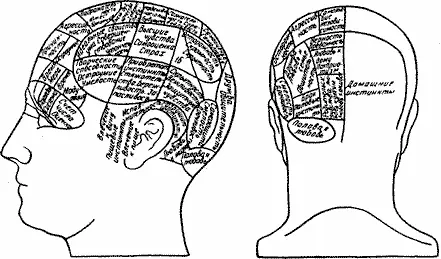 Рис 51 Френологическая карта в духе Галля Из Luria A R Higher Cortical - фото 7