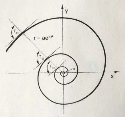 У логарифмической спирали все время выдерживается постоянный угол относительно - фото 163