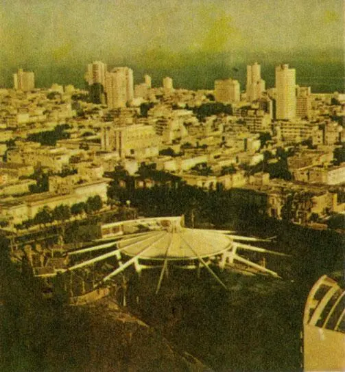 И в природе и в архитектуре оси симметрии служат опорными элементами или - фото 22