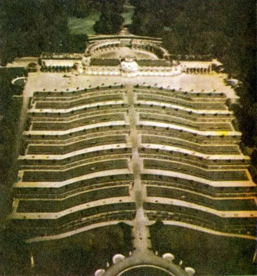 И в природе и в архитектуре оси симметрии служат опорными элементами или - фото 23