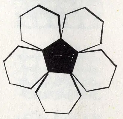 Пятиугольники и шестиугольники нельзя уложить на плоскости без зазоров Эти - фото 46