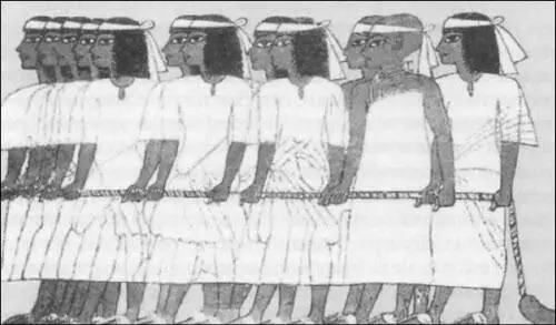 Жрецы и придворные тянущие на канате сани с гробом Тутанхамона Не - фото 186