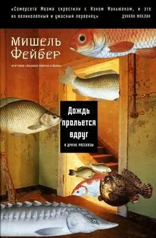 Мишель Фейбер - Дождь прольется вдруг и другие рассказы