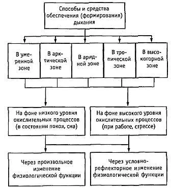 Рис 29 Система организации дыхания Представляют интерес также исследования - фото 17