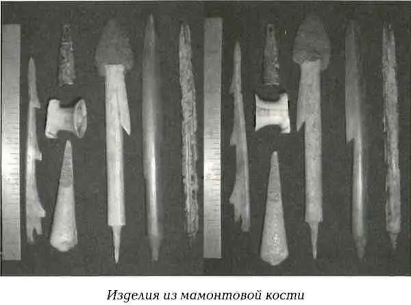 Находки мамонтовых бивней в хорошем состоянии наводили на мысль что животное - фото 39