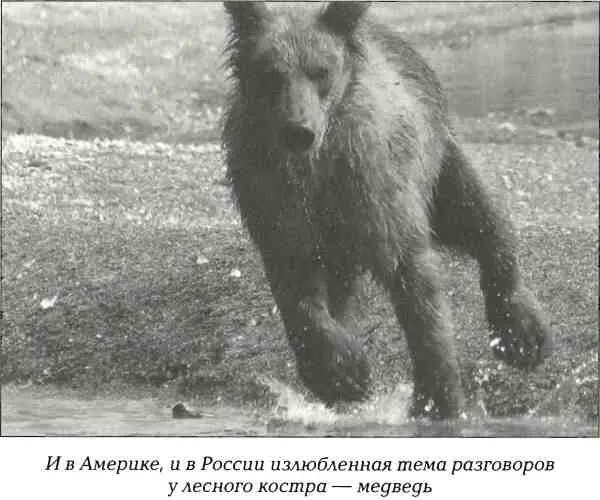 Вечный шатун был недоволен что одному русскому удалось скрыться от - фото 45