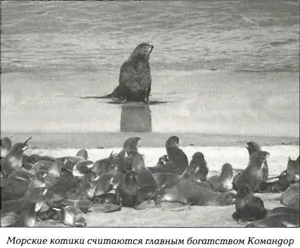 Вездеход резко рванул вперед Изпод гусениц полетели комья грязи и мы - фото 54