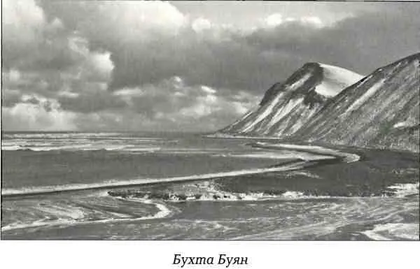 Конечно эти поделочные и полудрагоценные камни не такая уж редкость и в - фото 59