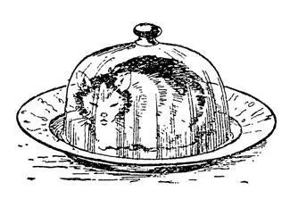 Рис 39 Превращение белой кошки в трехцветную Понюхайте порошок Он пахнет - фото 39