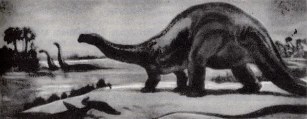 Фото 45 Apatosaurus четвероногий динозавр подобный амфибиям длиной более 20 - фото 100