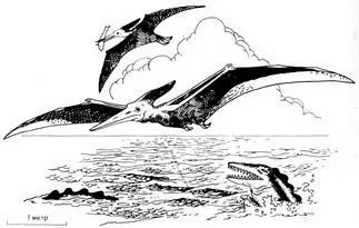 Рис 51 Птеранодон Pteranodon летающая рептилия с выростом на черепе он - фото 103
