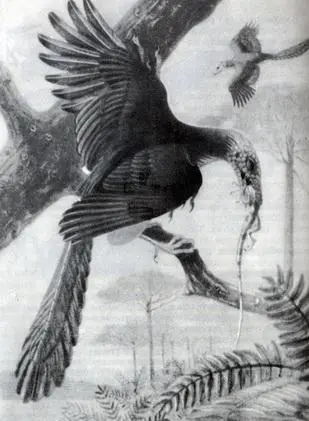Фото 47 Археоптерикс Archaeopteryx древнейшая известная нам птица сидит на - фото 105