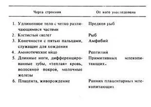 Таблица 4 Основные особенности строения человеческого тела и их происхождение - фото 145
