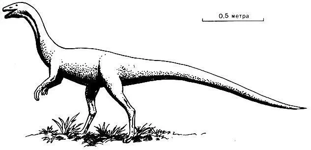 Рис 47 Coelophysis типичный динозавр триасового времени Весьма вероятно - фото 95