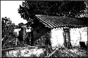 Дом батрака члена низкой касты Панду мудро правил страной вместо своего - фото 65