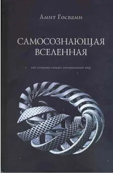 Амит Госвами - Самосознающая вселенная. Как сознание создает материальный мир