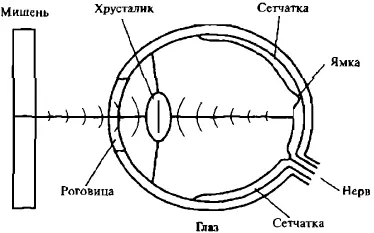 Рис 23 Механика зрения Еще один микроскоп Гейзенберга в действии - фото 23
