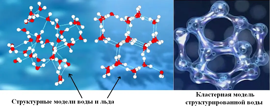В жидком виде связи соседних молекул воды образуют непостоянные и быстротечные - фото 1