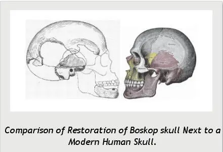 Поскольку это не хоббиты с мелким мозгом боскопов вообще не упоминают в связи - фото 248