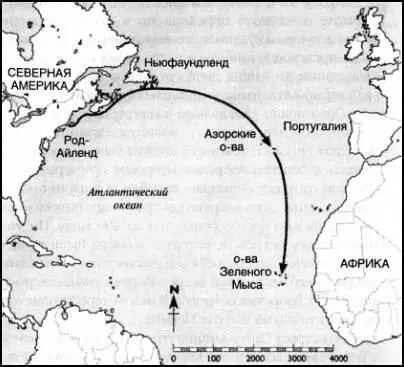 Путешествие к Азорским островам и островам Зеленого Мыса Именно здесь на - фото 69