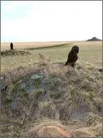 Ни один археологический памятник мира не может сравниться по этому параметру с - фото 299