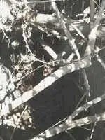 Можно предположить что в Оплонтисе Торре Аннунциата водовод Фонтаны - фото 392